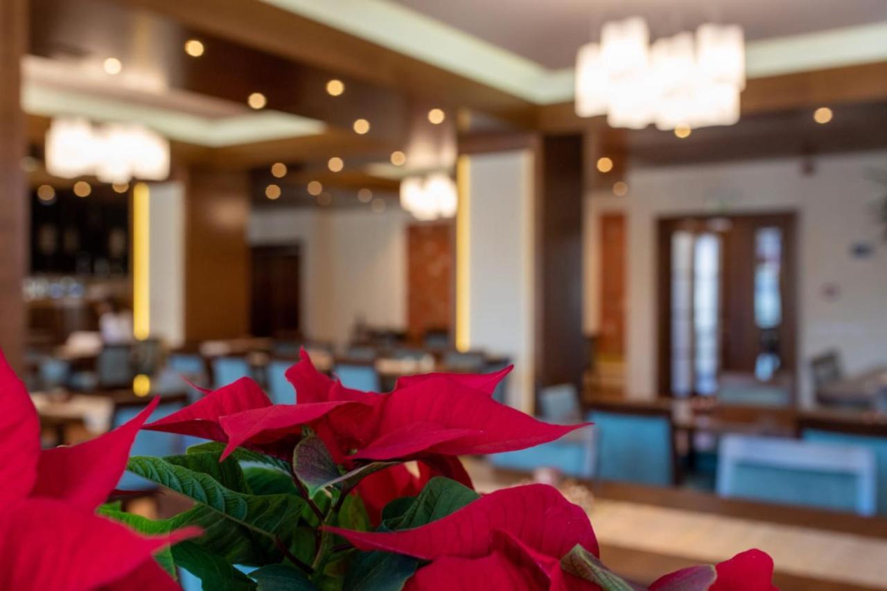 Hotel Buchenland جورا هومورولوي المظهر الخارجي الصورة